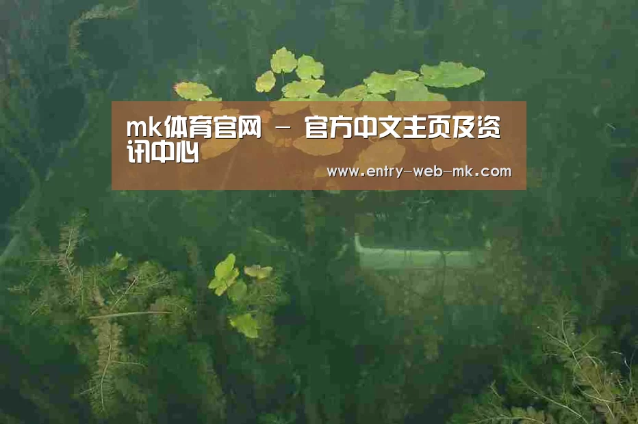 案例展示三(图1)