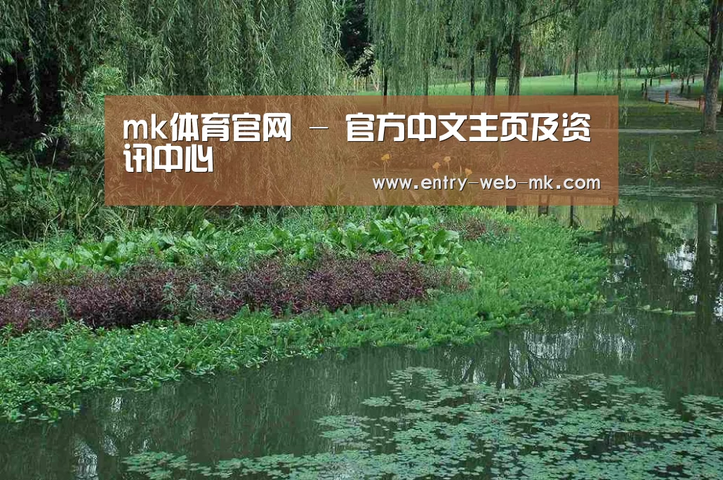 案例展示一(图1)