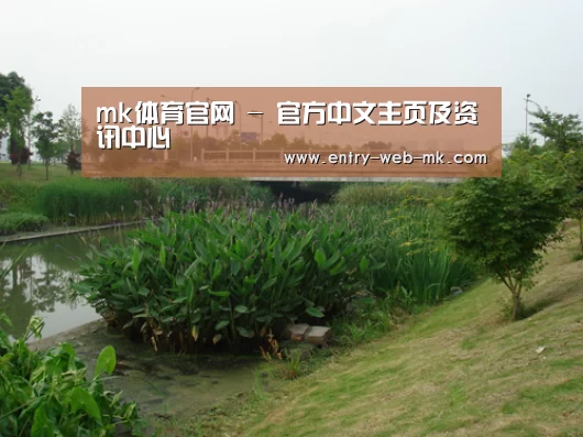 案例展示四(图1)