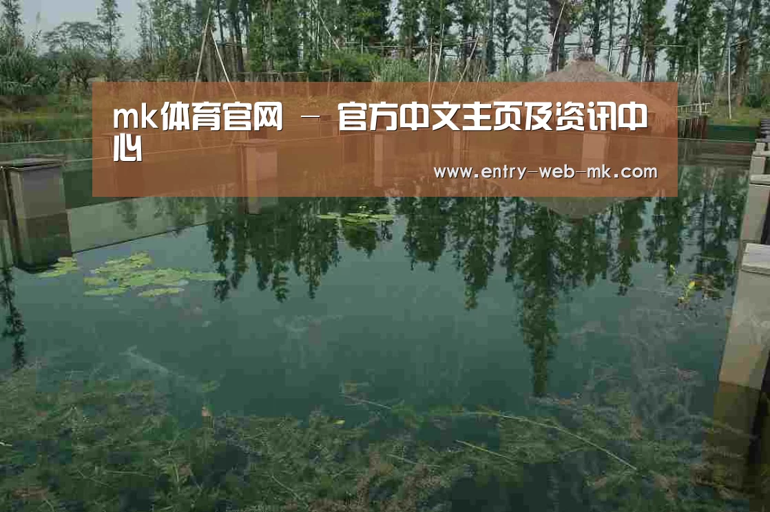 案例展示二(图1)