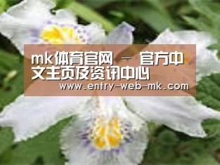 产品名称二