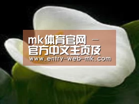 产品名称七