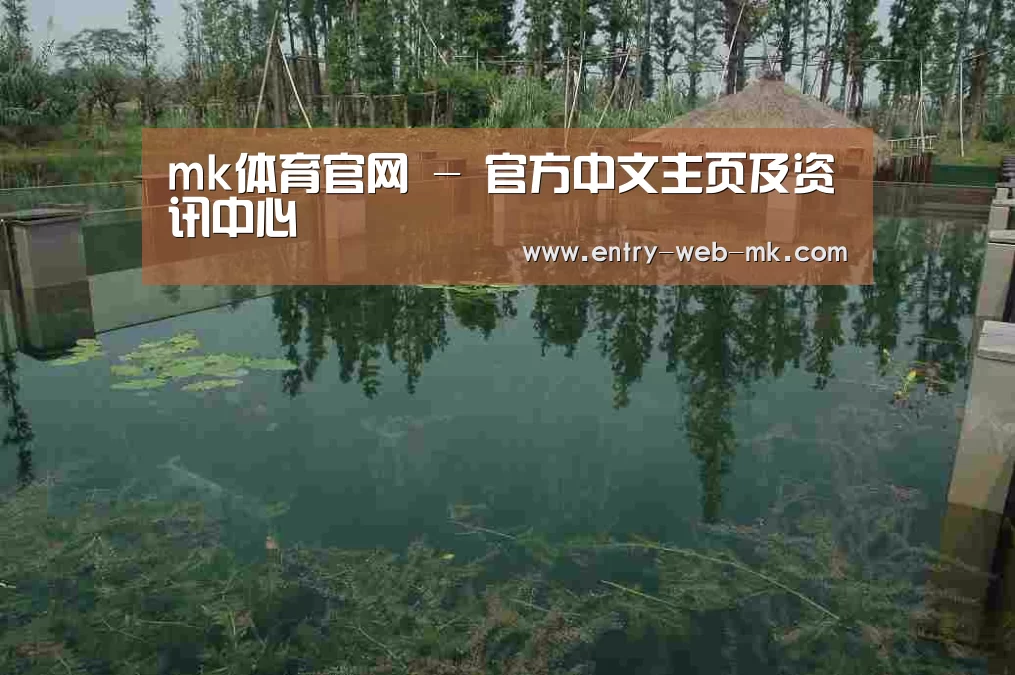 案例展示二