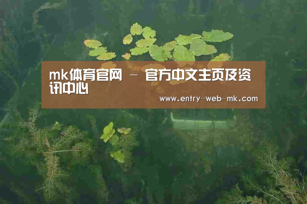 案例展示三