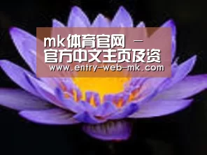 产品名称六