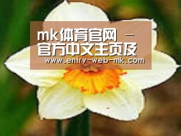 产品名称四