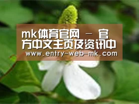 产品名称三