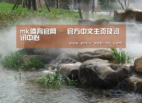 案例展示五
