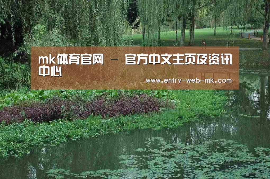 案例展示一