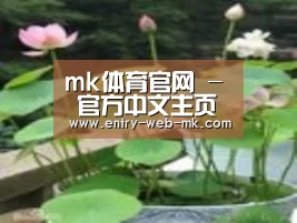 产品名称一