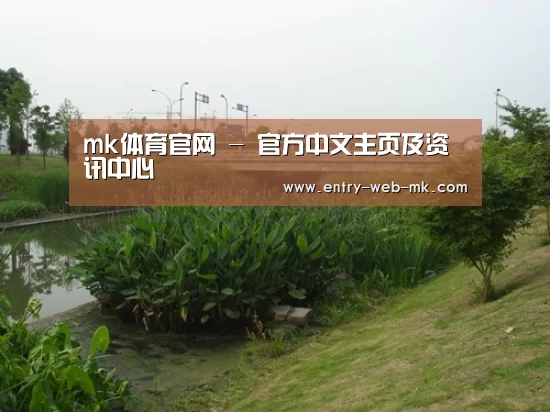 案例展示四