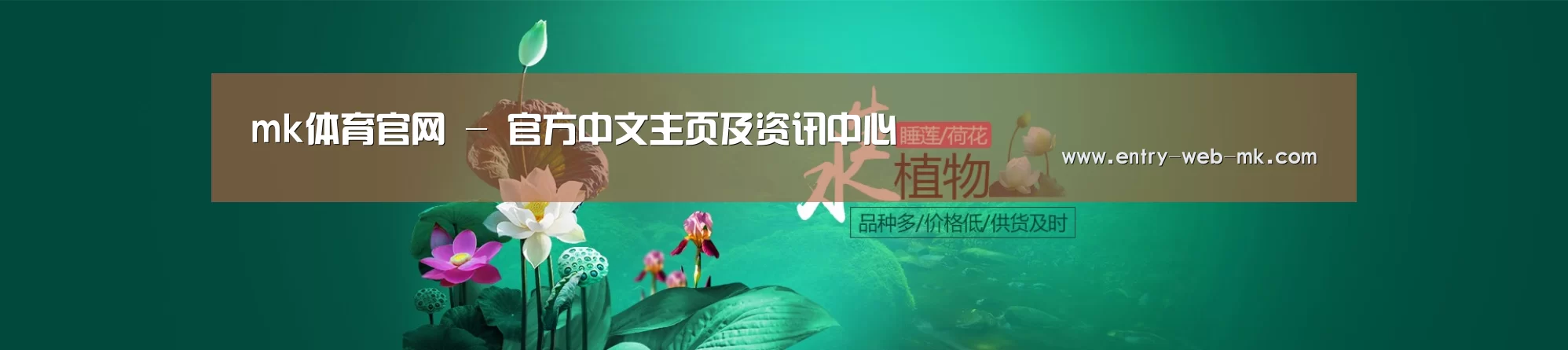 鲜花水草花卉网站模板