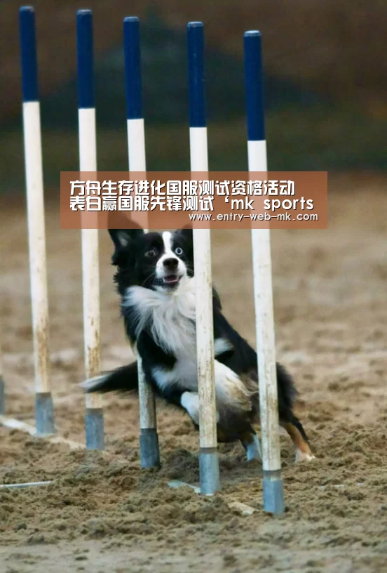 方舟生存进化国服测试资格活动 表白赢国服先锋测试‘mk sports’(图1) mk体育平台
