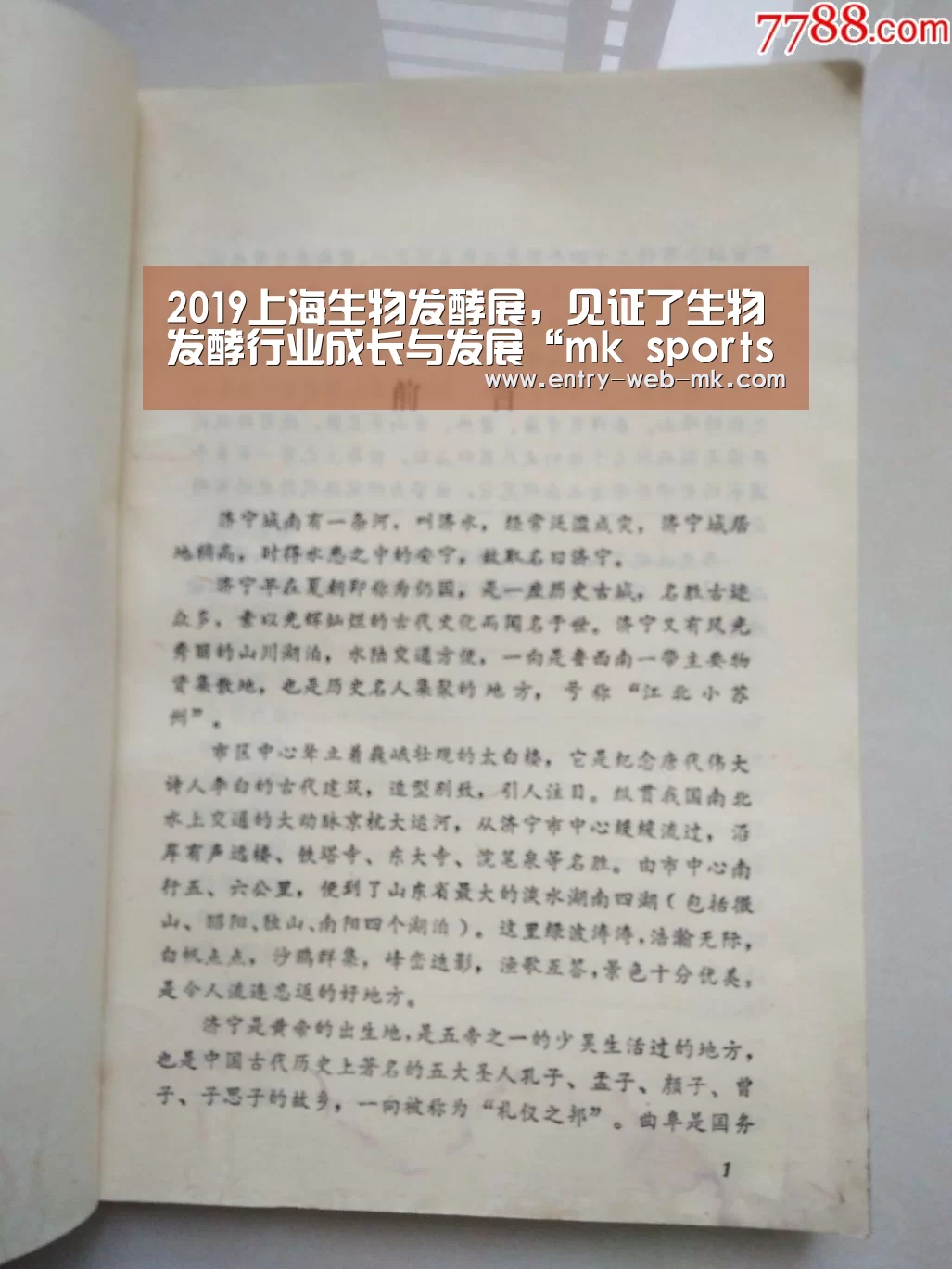 mk体育入口