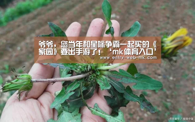 爷爷,您当年和星际争霸一起买的《家园》要出手游了!‘mk体育入口’(图1) mk体育入口