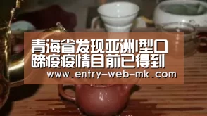 青海省发现亚洲I型口蹄疫疫情目前已得到控制“mk sports”(图4) mk体育官网