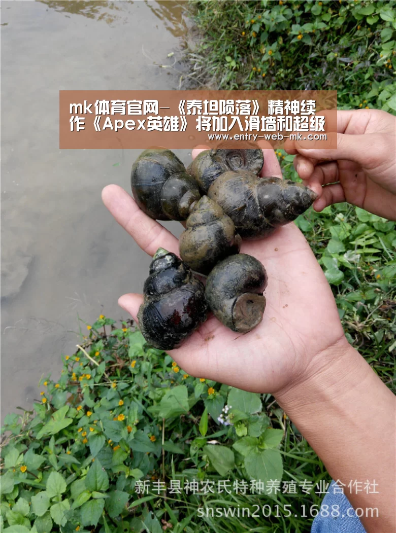 mk体育官网-《泰坦陨落》精神续作《Apex英雄》将加入滑墙和超级跳(图1) mk sports