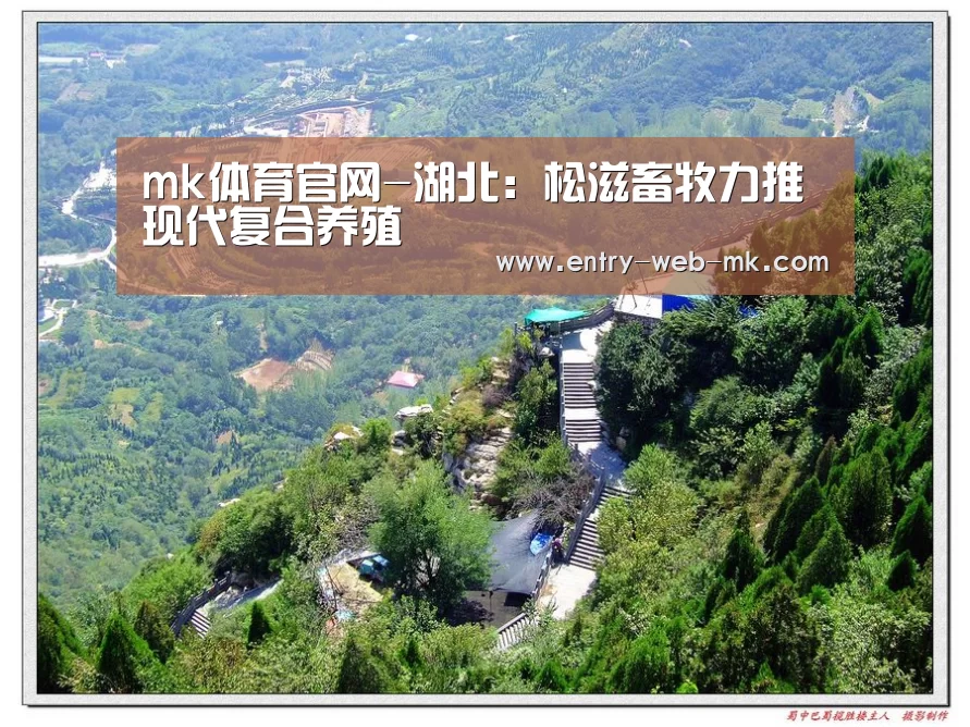 mk体育官网-湖北:松滋畜牧力推现代复合养殖(图4) mk体育官网