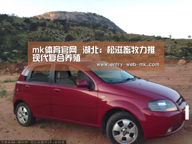 mk体育官网-湖北:松滋畜牧力推现代复合养殖(图2) mk体育入口