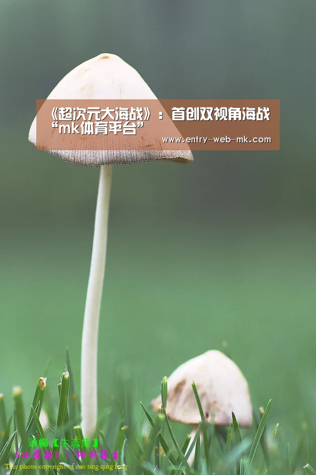 《超次元大海战》:首创双视角海战“mk体育平台”(图3) mk体育平台