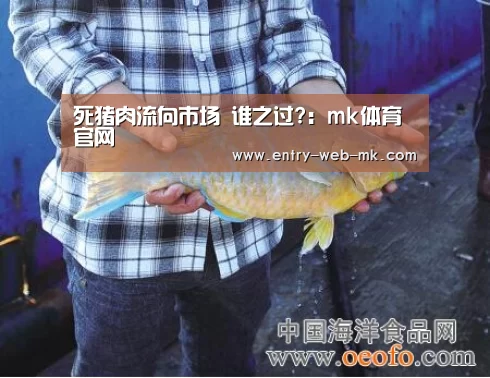 mk体育官网
