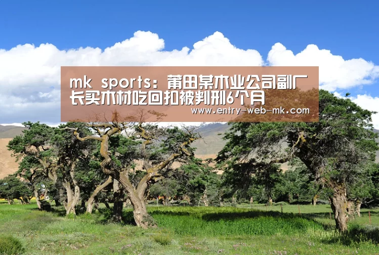 mk体育入口
