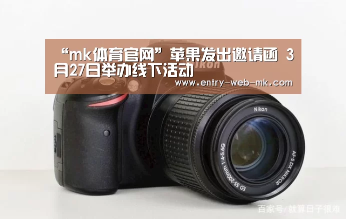 mk体育入口