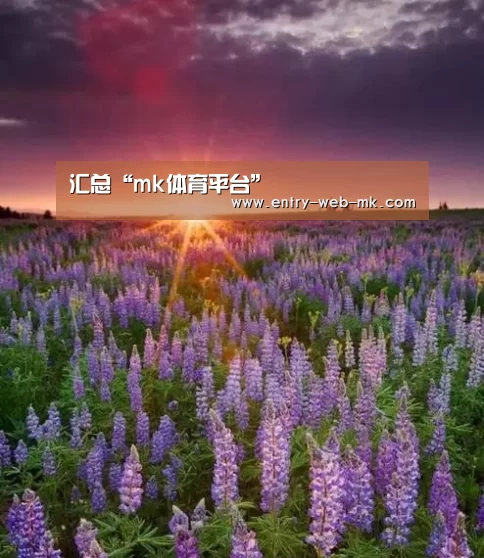 mk体育官网