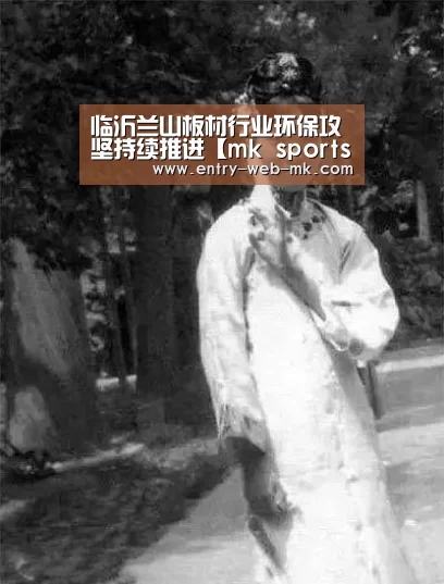 mk体育入口