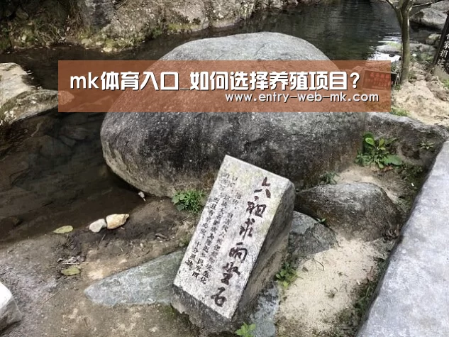 mk sports