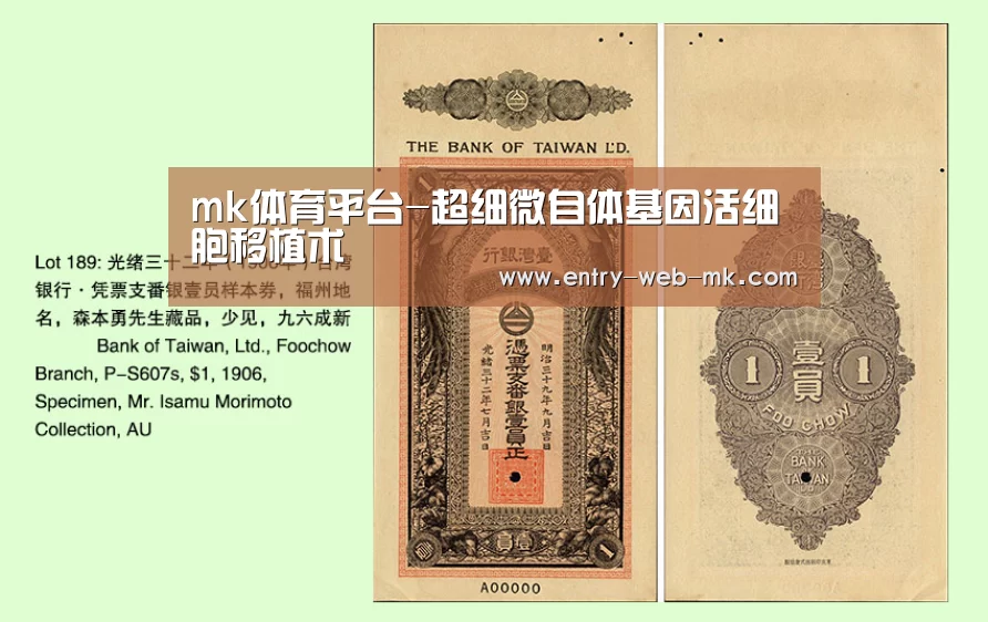mk体育平台-超细微自体基因活细胞移植术(图1) mk sports