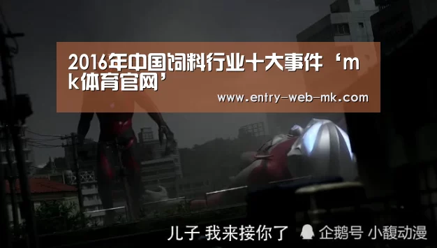 mk体育官网