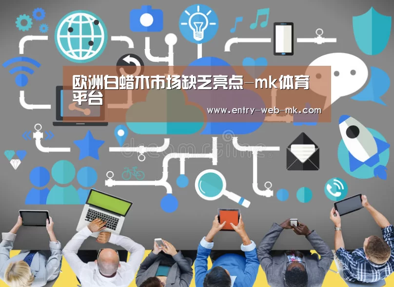 mk体育官网