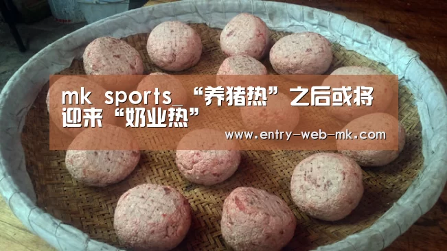 mk体育官网