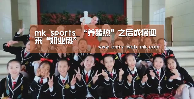 mk体育入口