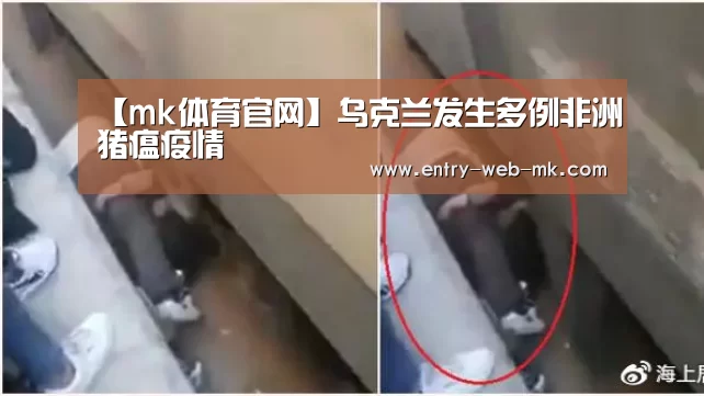 mk体育平台