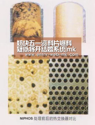 mk体育平台