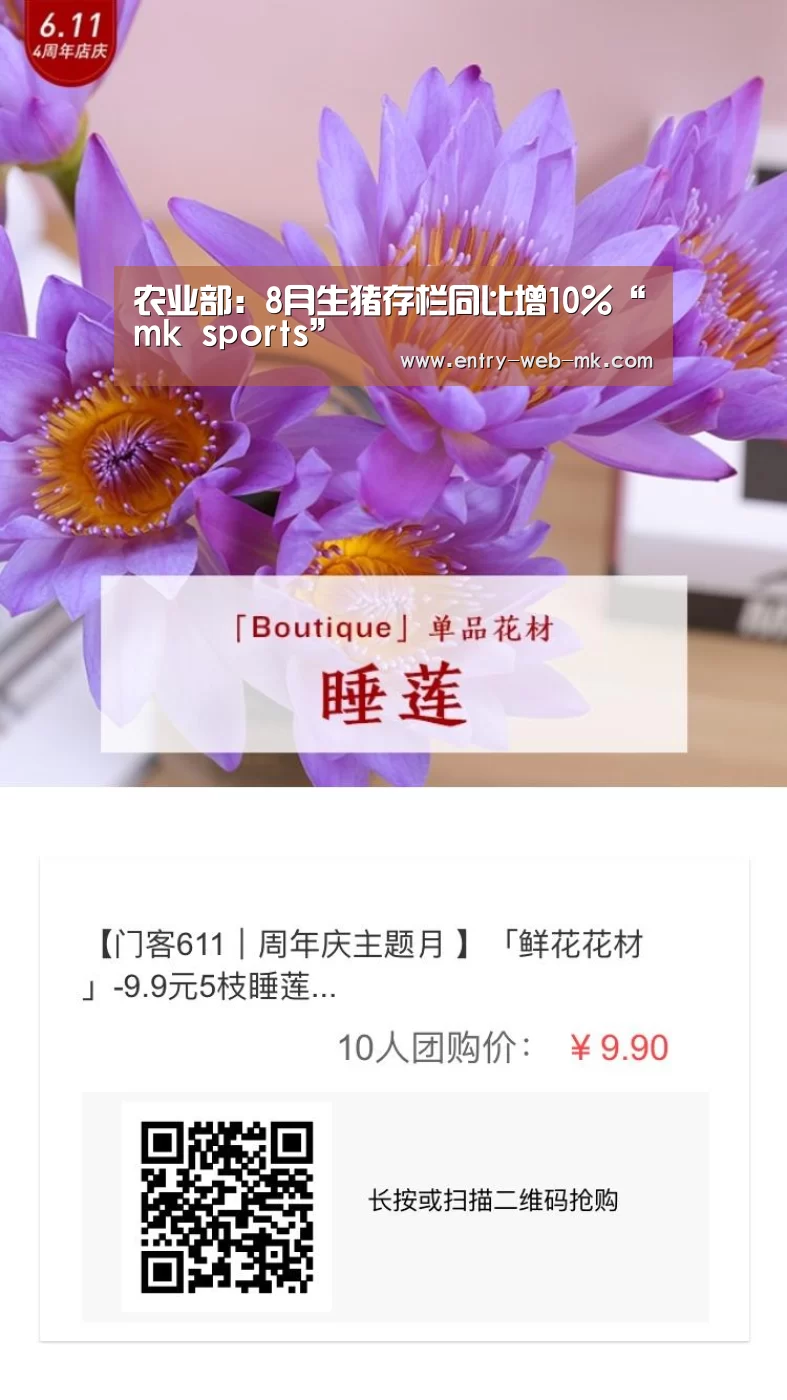 mk体育平台