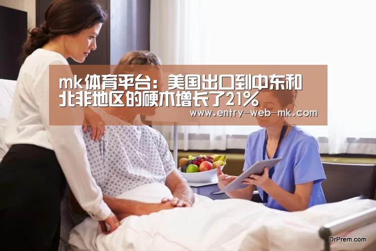 mk体育入口