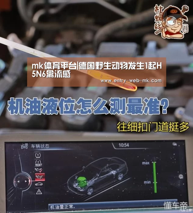 mk体育入口