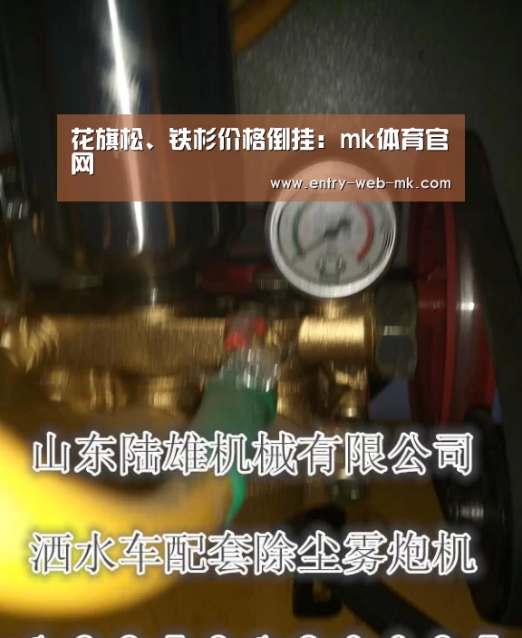 花旗松、铁杉价格倒挂:mk体育官网(图2) mk sports